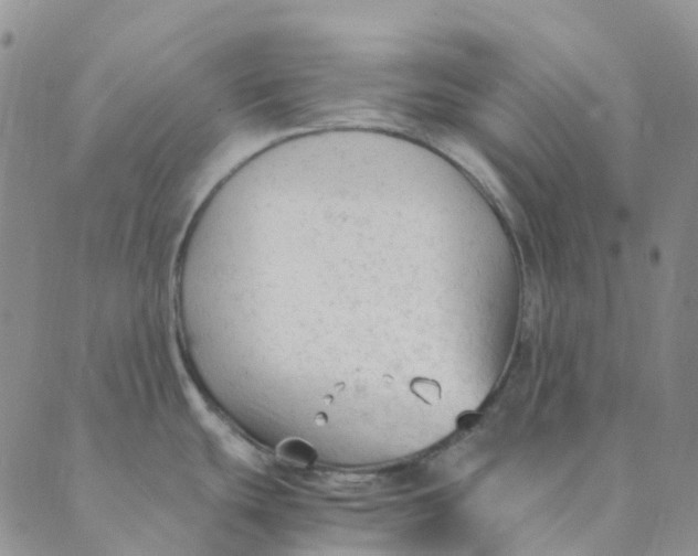 X0000089361439200707061038