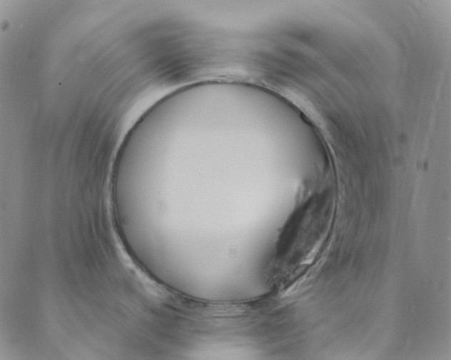 X0000089361440200707061038