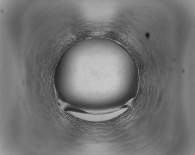 X0000089361441200707061038