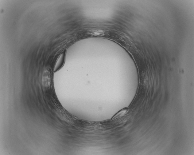 X0000089361442200707061037