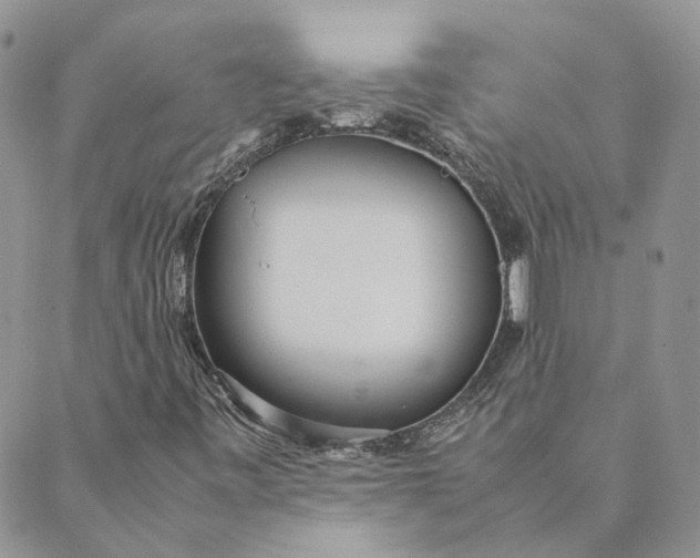 X0000089361443200707061037