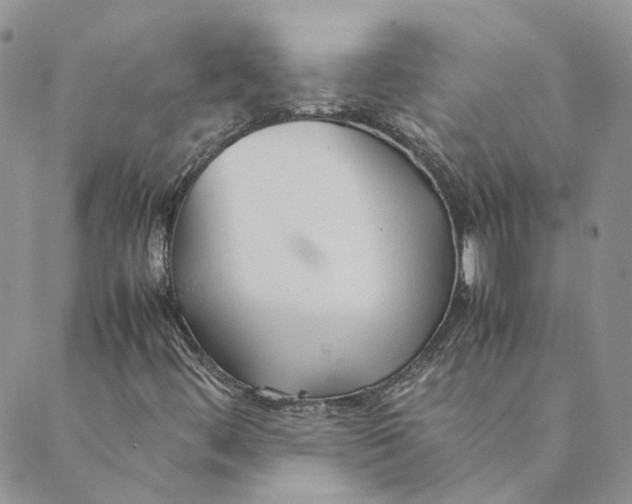 X0000089361444200707061037