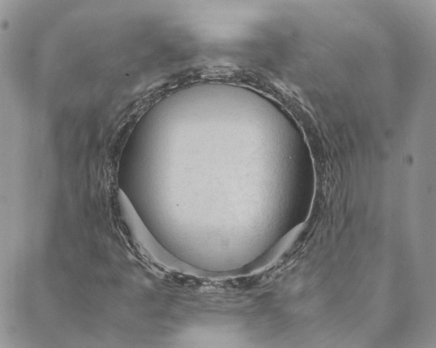 X0000089361445200707061037