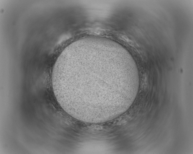 X0000089361446200707061037