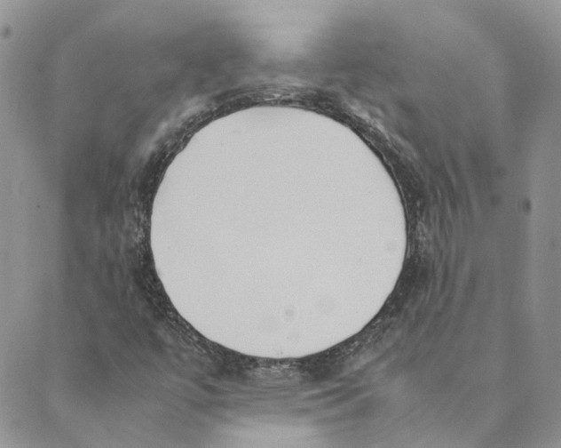 X0000089361447200707061037