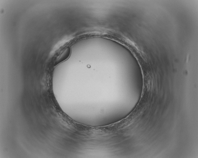 X0000089361448200707061037