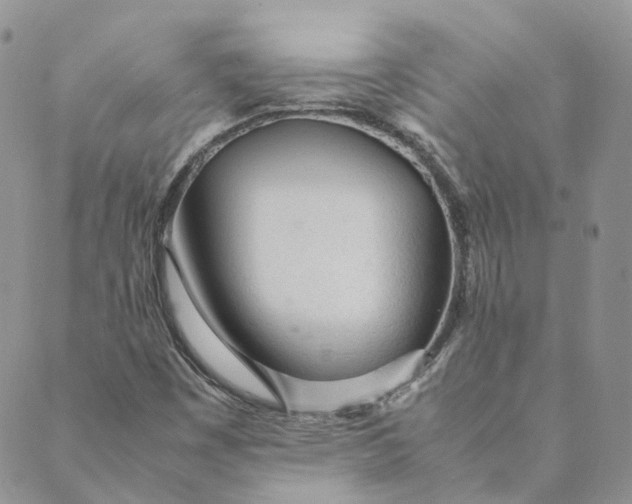 X0000089361449200707061037