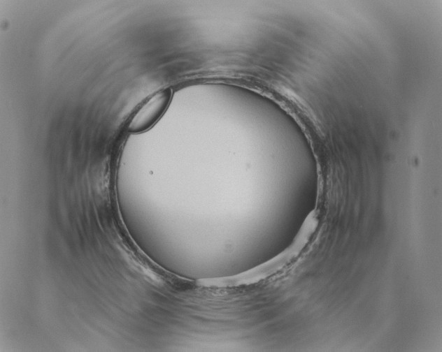 X0000089361450200707061037