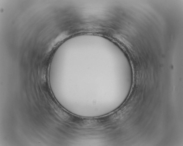 X0000089361451200707061037