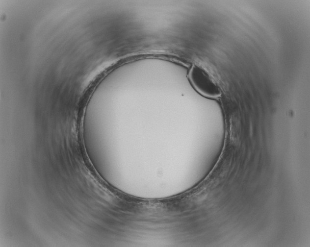 X0000089361452200707061037