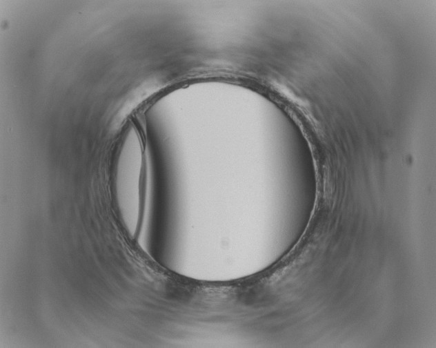 X0000089361453200707061037