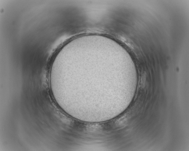 X0000089361454200707061037