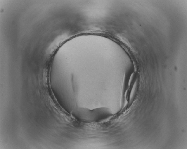 X0000089361455200707061037