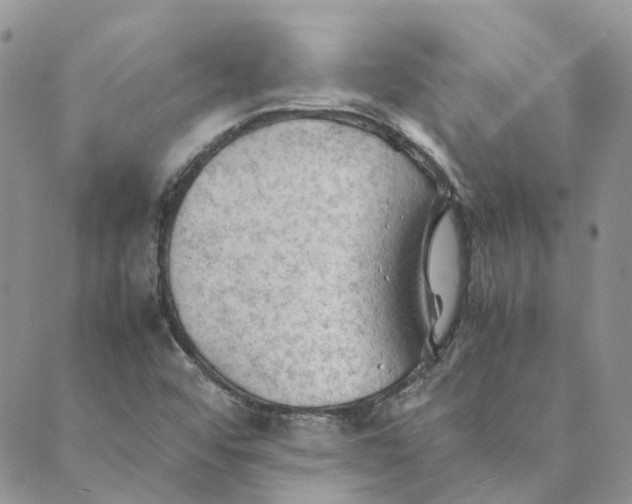 X0000089361456200707061037