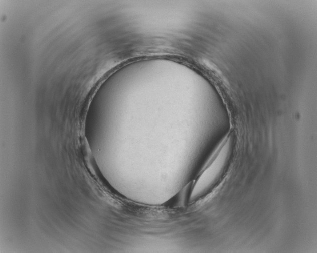 X0000089361457200707061037