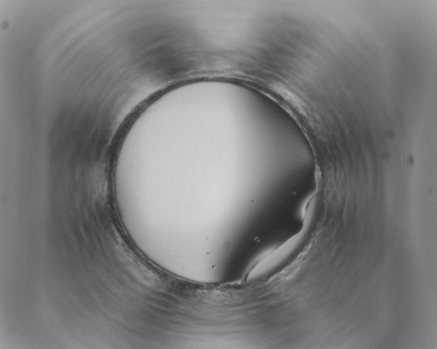 X0000089361458200707061037