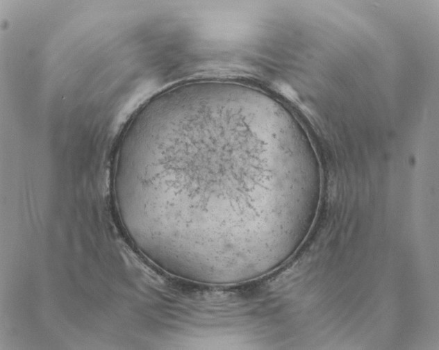 X0000089361459200707061037