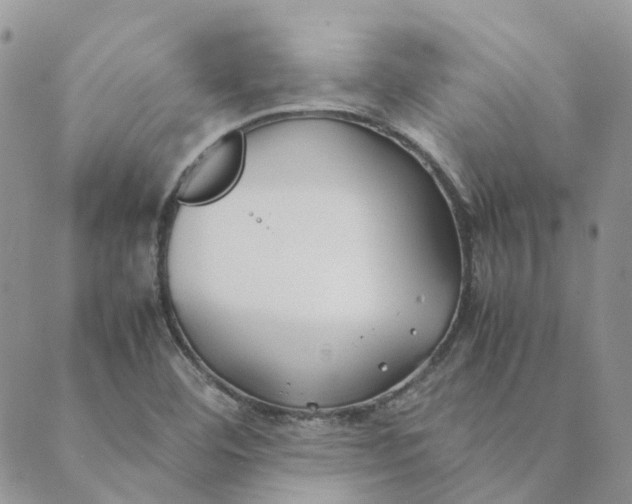 X0000089361460200707061037