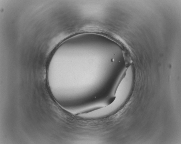 X0000089361461200707061037