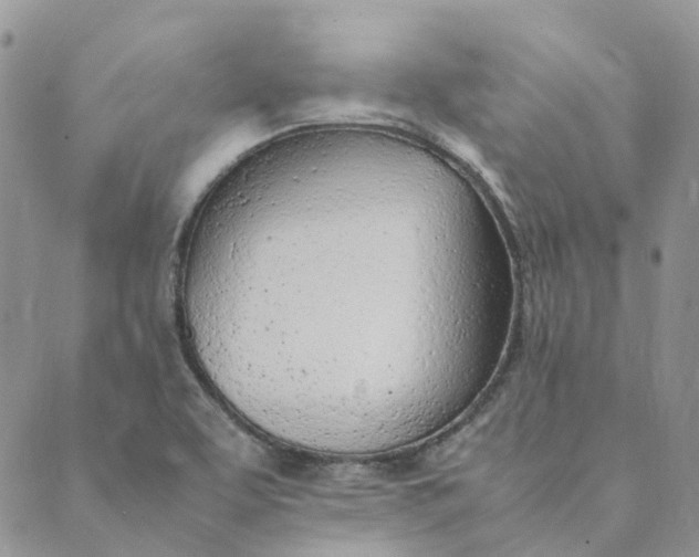 X0000089361463200707061037