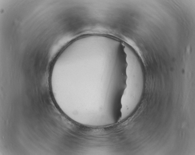 X0000089361464200707061037