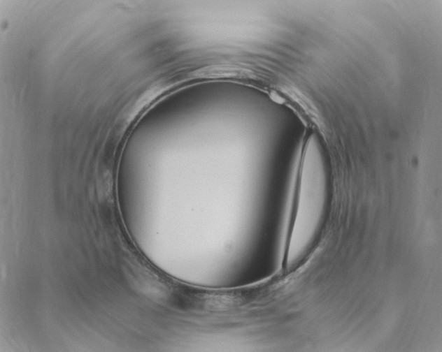 X0000089361465200707061037