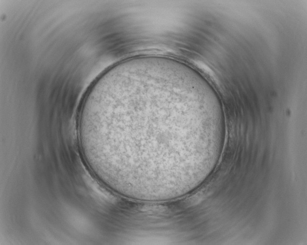 X0000089361466200707061037