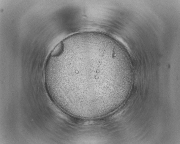 X0000089361467200707061037