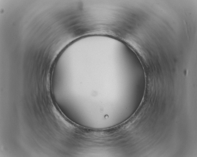 X0000089361468200707061037