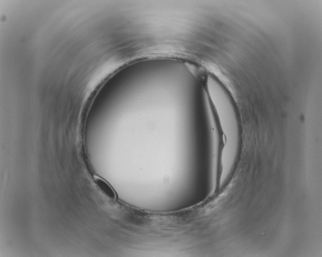 X0000089361469200707061037