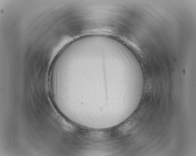 X0000089361470200707061037