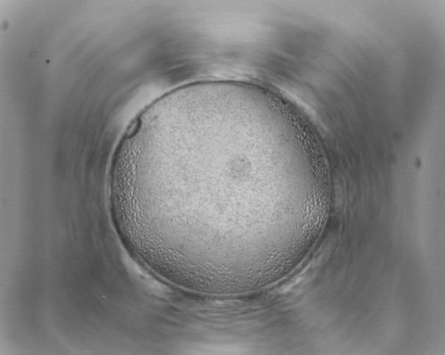 X0000089361471200707061037