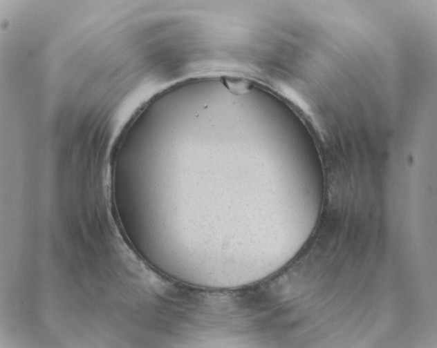 X0000089361472200707061037