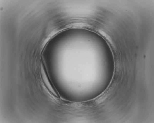 X0000089361473200707061037