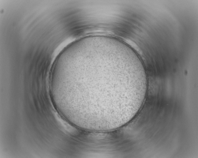 X0000089361474200707061037