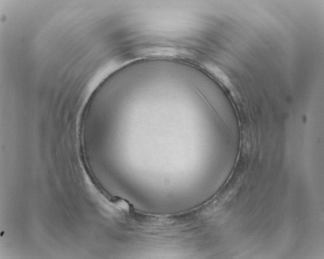 X0000089361475200707061037