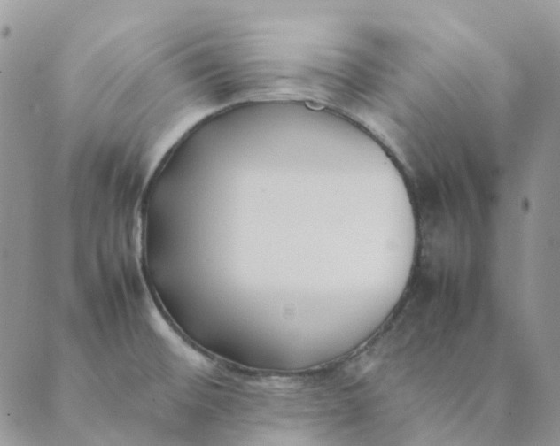 X0000089361476200707061037