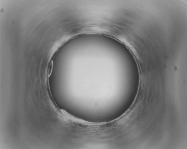 X0000089361477200707061037