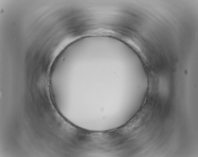 X0000089361478200707061037