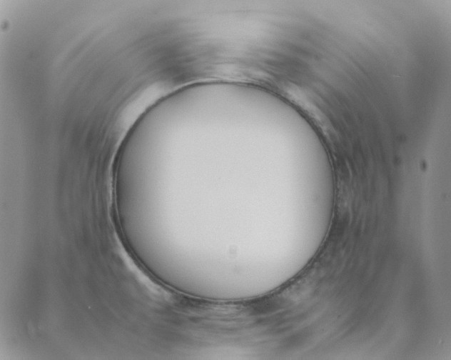 X0000089361479200707061037