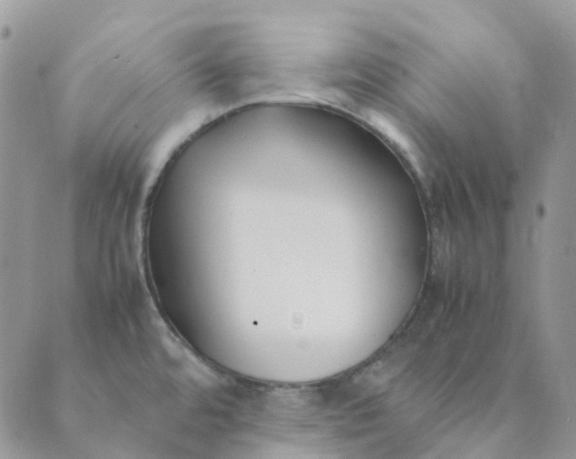 X0000089361480200707061037