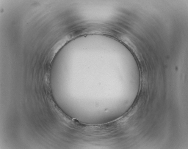 X0000089361481200707061037