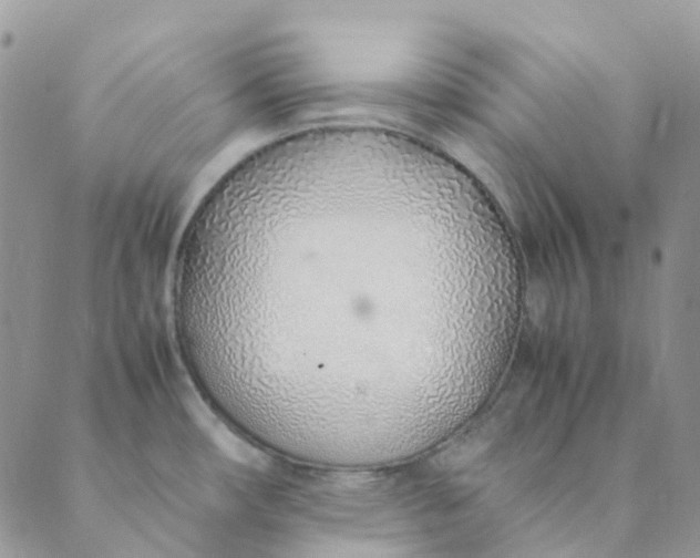 X0000089361482200707061037