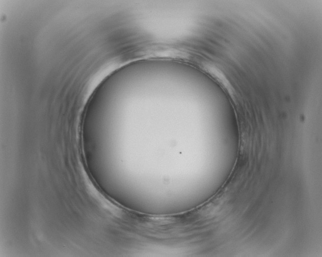 X0000089361483200707061037