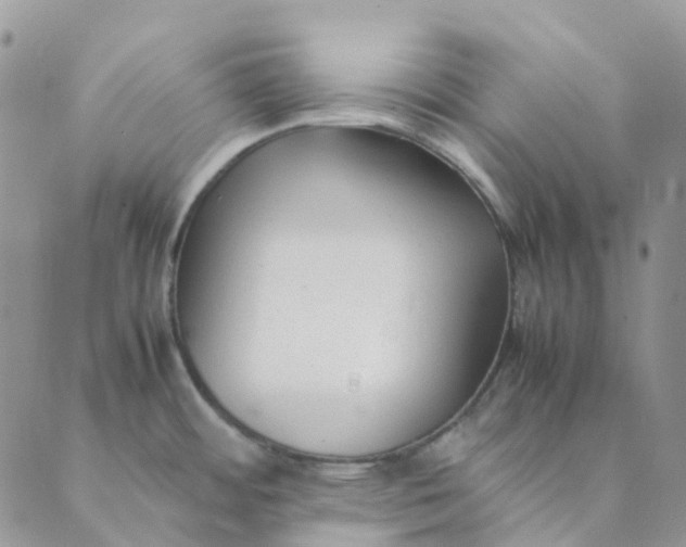 X0000089361484200707061037