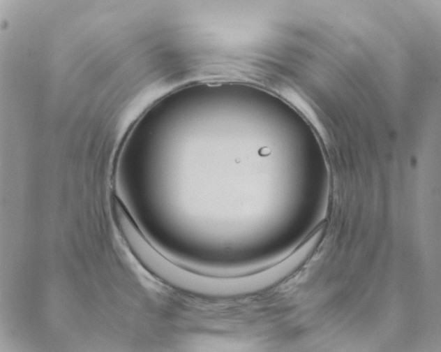 X0000089361485200707061037