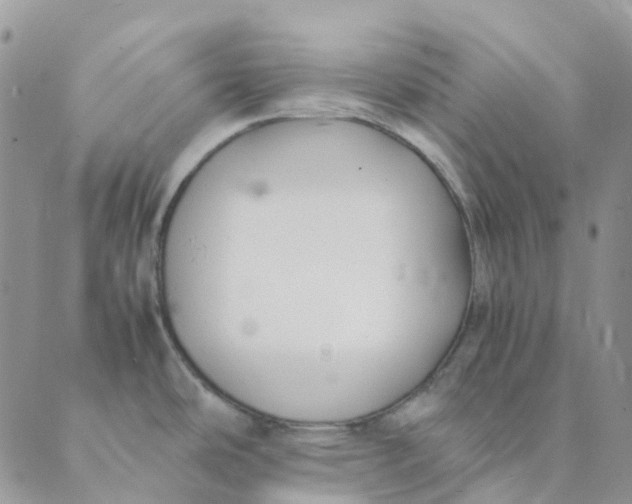 X0000089361486200707061037