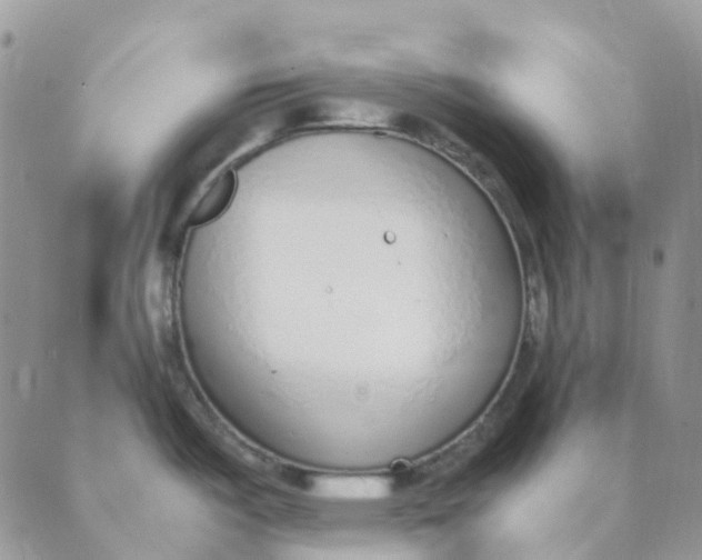 X0000089361487200707061037