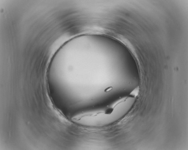 X0000089361488200707061037