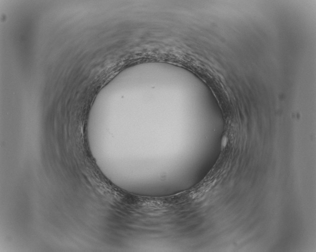 X0000089361489200707061036